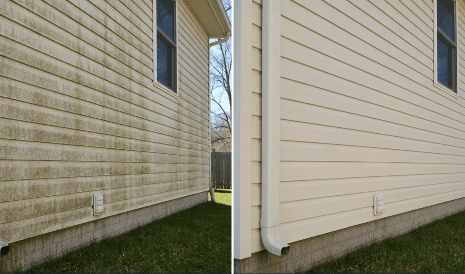 House siding before with algae streaks, after completely clean